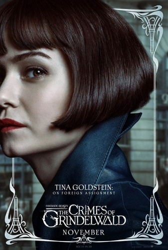 Katherine waterston fantastic - katherine,